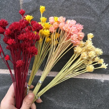 

Dried flowers 40pcs/26cm Natural Little Star Flower ,DIY Eternal Wedding Favor Bouquet Marriage ,Home Gift Box Plant Decor