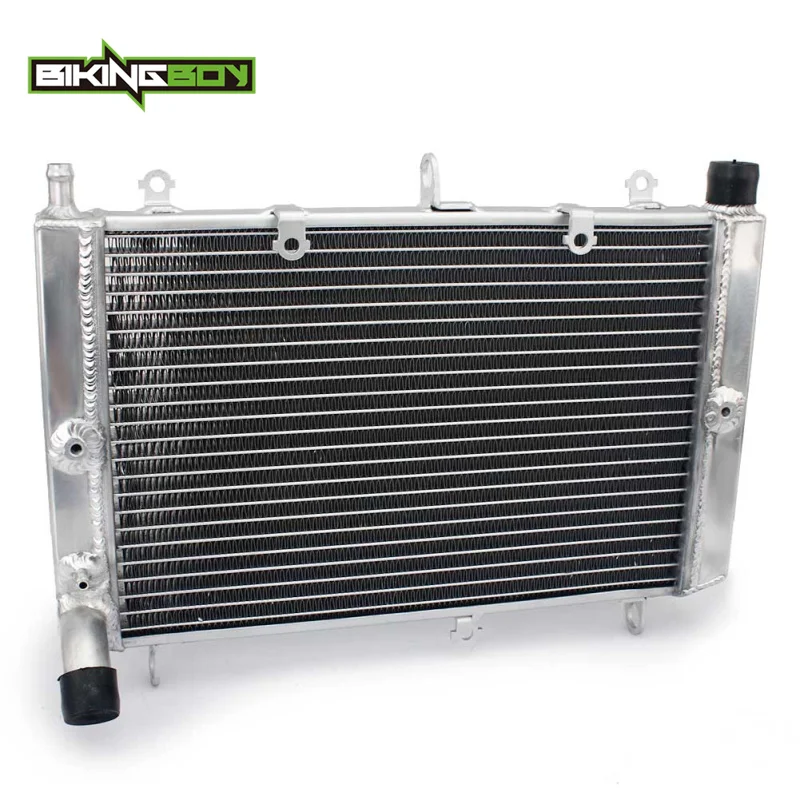 ^*Best Offers BIKINGBOY For Yamaha FZS 1000 Fazer 01 02 03 04 05 FZS1000 S 2003-2005 Engine Radiator Water Cooling Cooler 5LV-12461-00-00