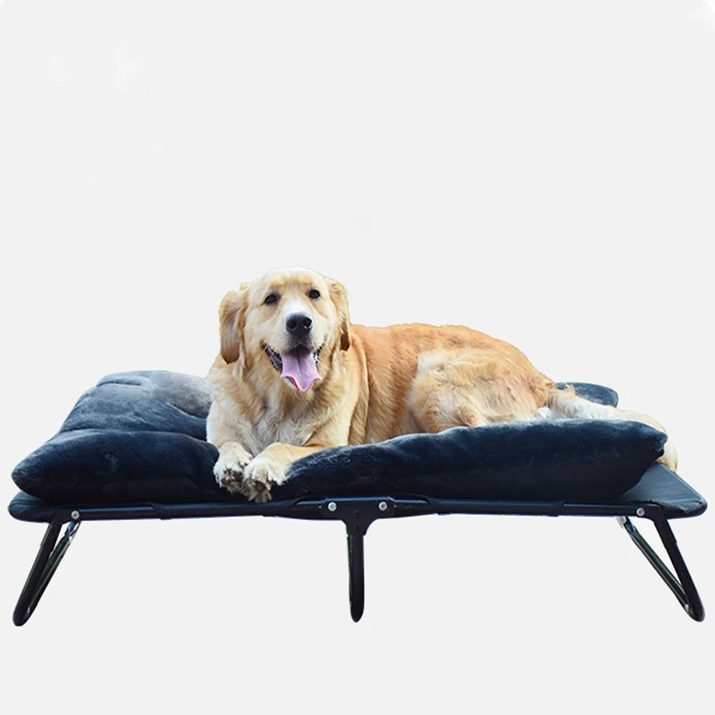 dog camping bed