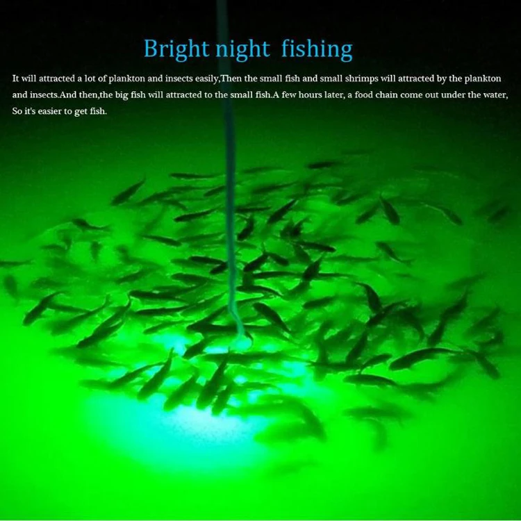 Iscas de Pesca Levou Squid Eletrônico Camarão 4 Cores Pesca Tackles 30w Luz 12v 10 12V Eletrônico Camarão 4 cores iscas de pesca pesca tackles