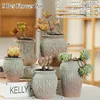 Flower Pot Succulent Pots Cactus Pots Plant Pots Garden Pots Ceramic Flower Pots Planter Outdoor Garden Home Decoration ► Photo 3/6