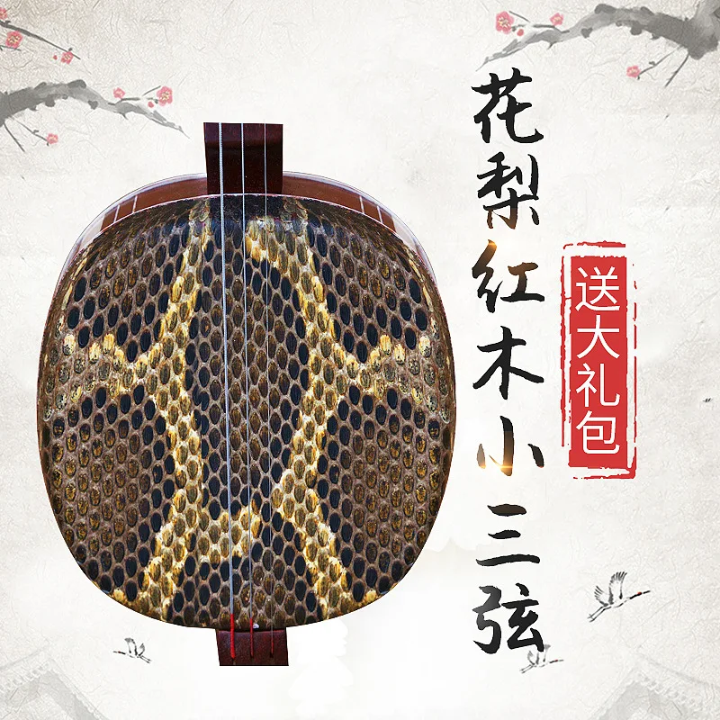 Rosewood Mahogany Small Sanxian Chinese string instrument