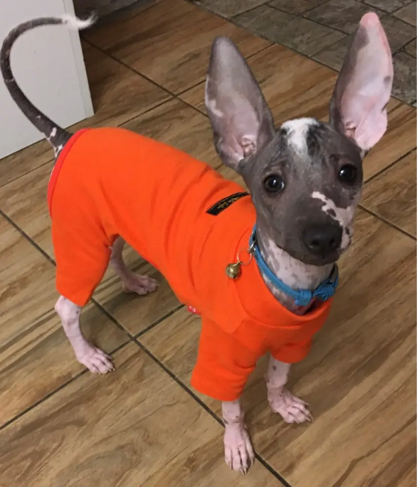 U94815ff7d42341928c0036ebe8737ccfD