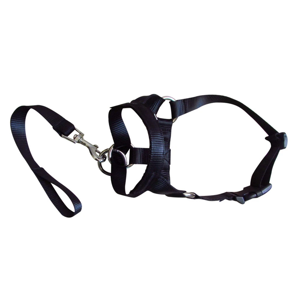 Nylon Dogs Head Collar Dog Training Halter Blue Red Black Colors S M L XL XXL Sizes