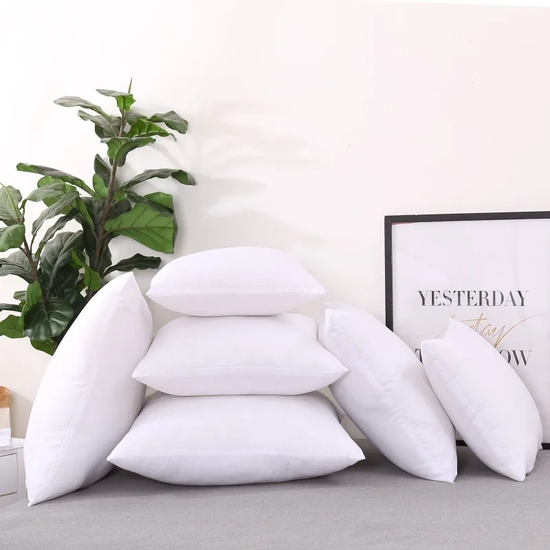 https://ae01.alicdn.com/kf/H5454f223f106403695edec5c69cbcdbbO/Pillow-Core-White-Square-Throw-Pillow-Insert-Hypoallergenic-Throw-Pillows-Forms-Decorative-Sham-Stuffer-Cushion-Filler.jpg