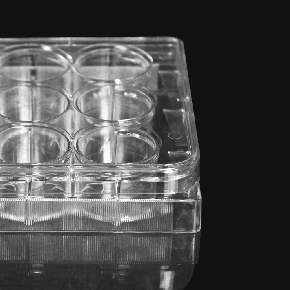 Labselect 12 Well Cell Culture Plate No DNase And RNase 10PCS/lot