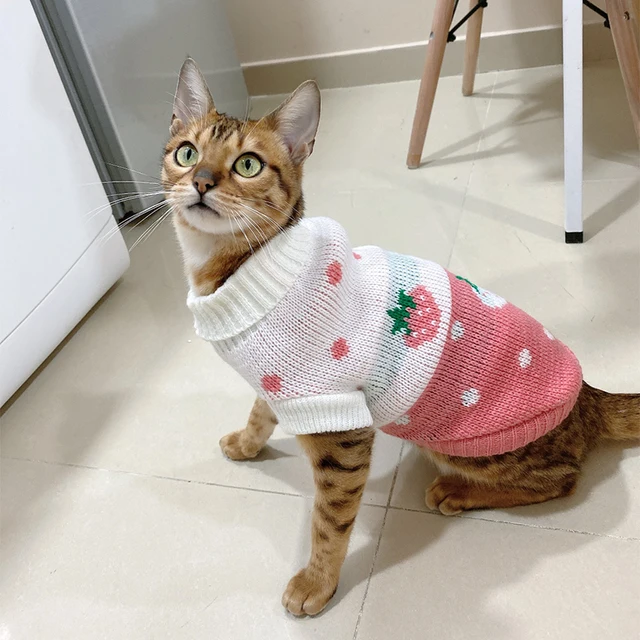 Winter Warm Sphynx Cat & Puppy Knitted Sweater Hoodies  3