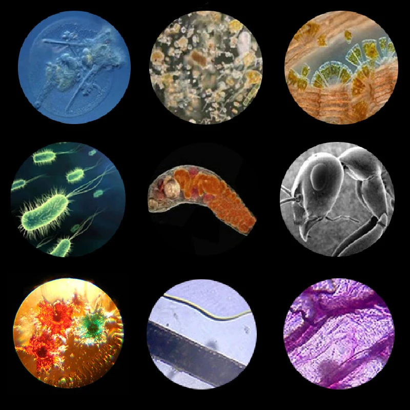 40mm Cylinder Piston Set Fit For Stihl MS 020 020T