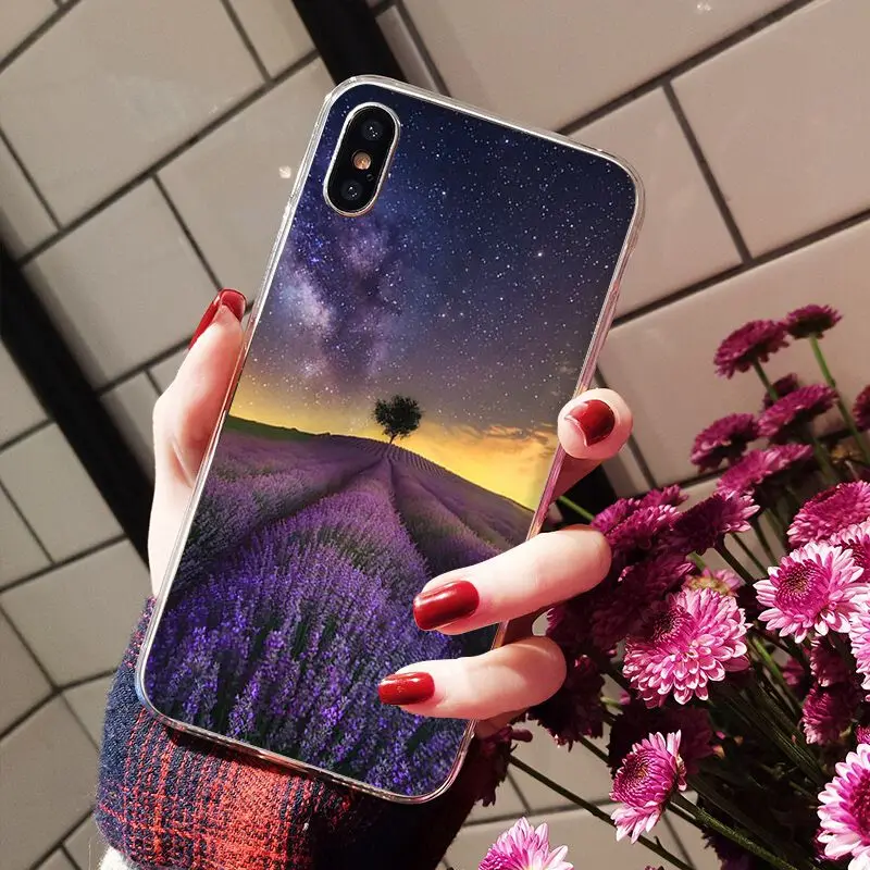 Simple lavender Purple flowers