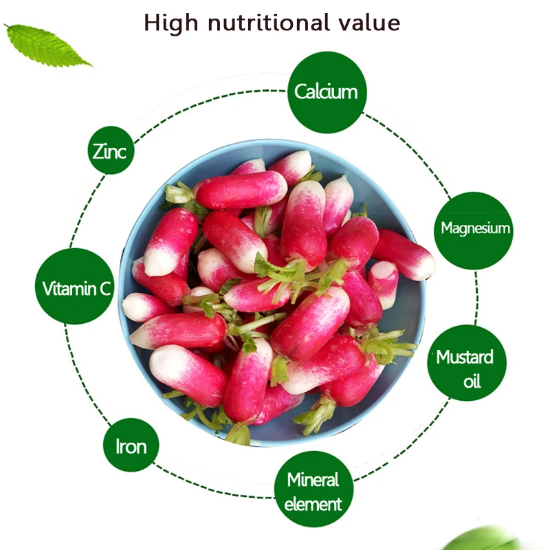 Редкая пальчиковая редиска, сочная и питательная редиска, Ранняя весна, 10 г, очень вкусная растительная садовая еда, легко выращивается