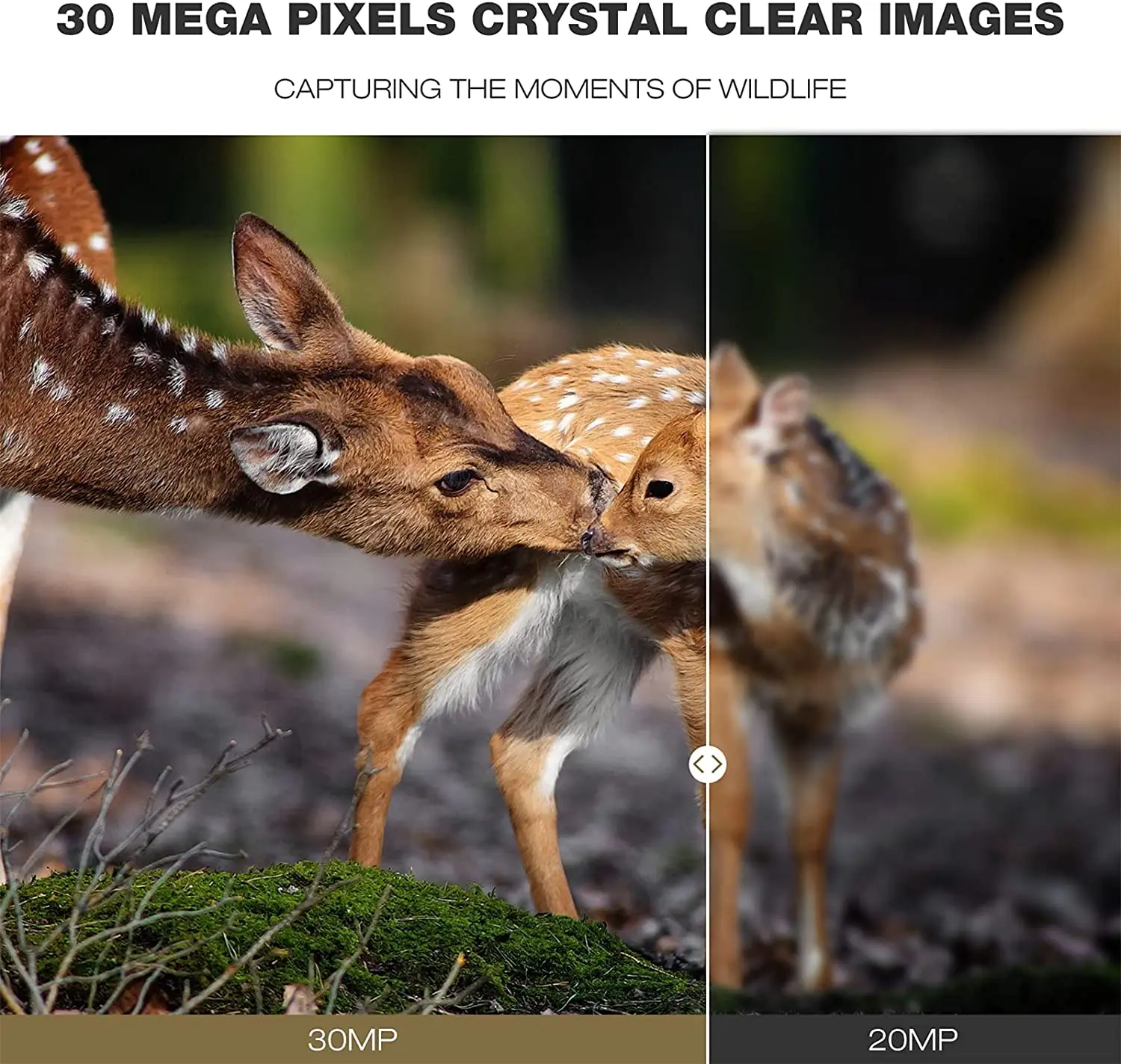 Hunting Trail Camera Trail Camera 4K Video Live Show Hunting Trail Camera 30MP WIFI801PRO APP Bluetooth Control Night Vision Photo Trap Cameras