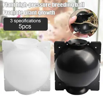 

5Pcs Garden Plant Rooting Balls Grafting Root Growing Breeding Boxes Container