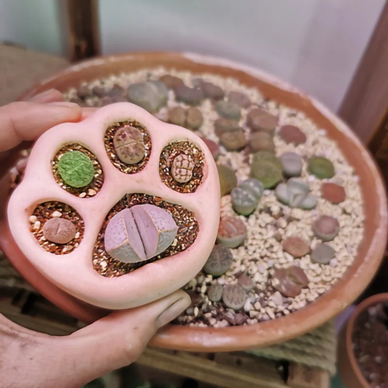 O1CN01uw0ULd1uIuwzIbqKR_!!2206389006015.jpg_400x400