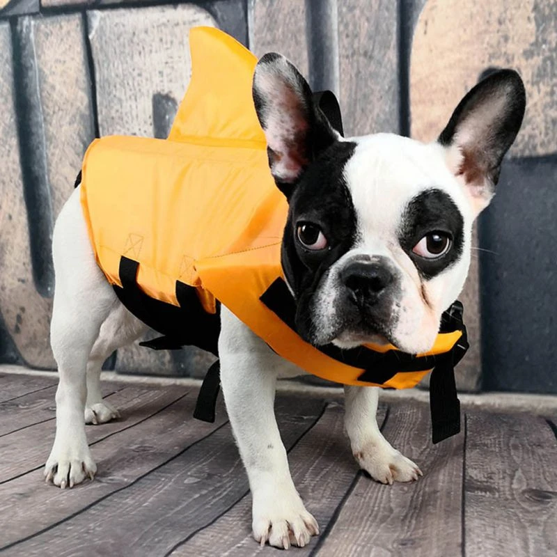 french bulldog shark life jacket