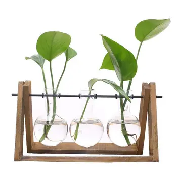 

Plant Terrarium with Wooden Stand Glass Vase Holder for Home Decoration,Scindapsus Container (3 Terrariums)