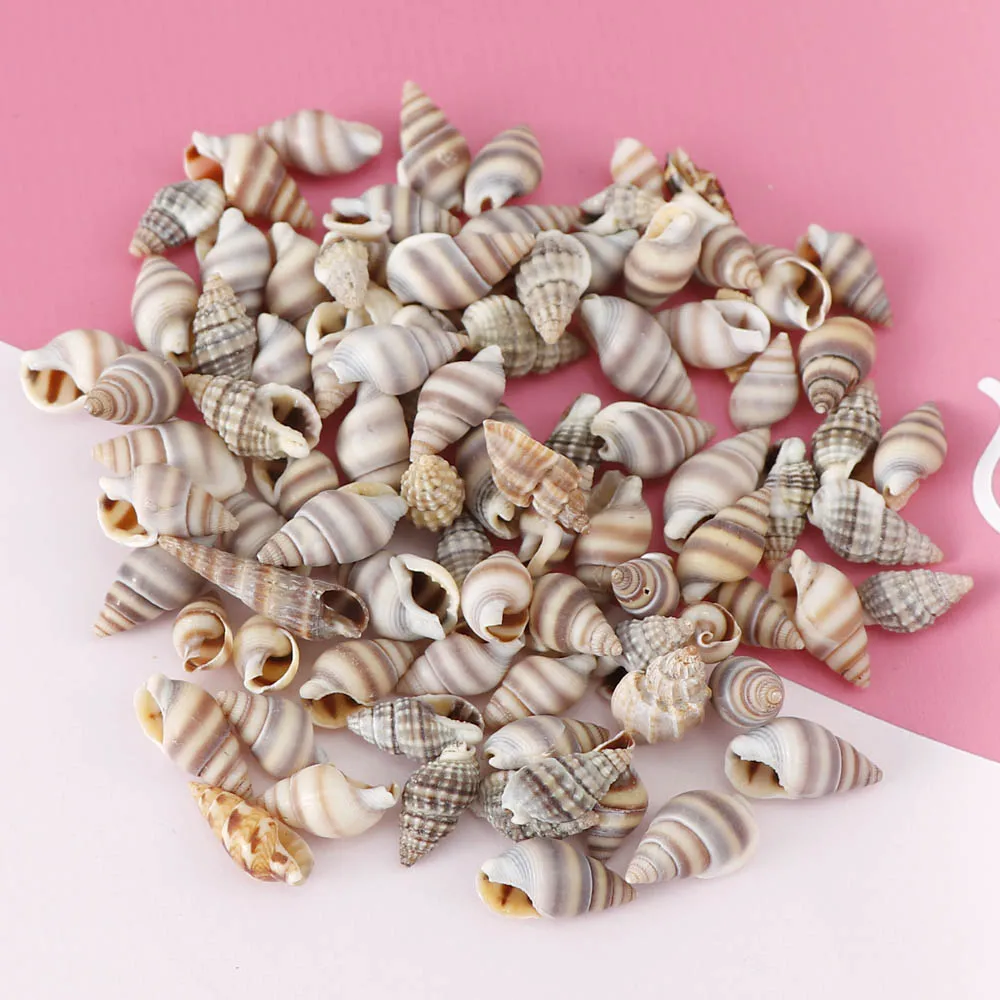 1 Box Pattern 4 Styles Nature Beach Fashion Sea Shells For DIY Caft Decor Jewelery Craft Accessories Holes Shell Decoration