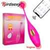 Panties Wireless APP Vibrator For Women Vibrating Eggs Wearable Balls Vibrator G Spot Clitoris Massager