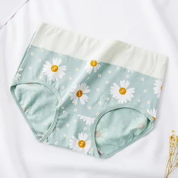 

8 pc/set Cotton printed large girl's underwear women's cotton traceless mother's panties PJTX 6108