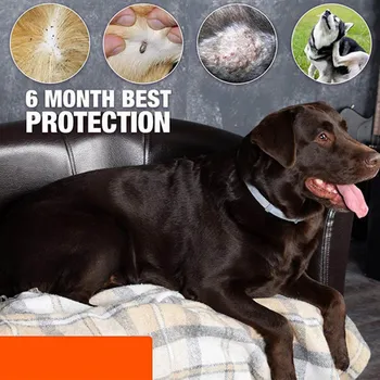 

38cm Dogs Cats Safe Natural Essential Oil Collars Pet Mosquito Control Flea Treatment Prevention Mosquito Repellent High Quality