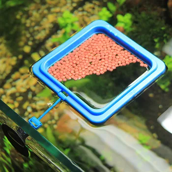 

Feeding Ring Aquarium Fish Tank Station Floating Food Tary round Feeder Square Circle Fish Feeders