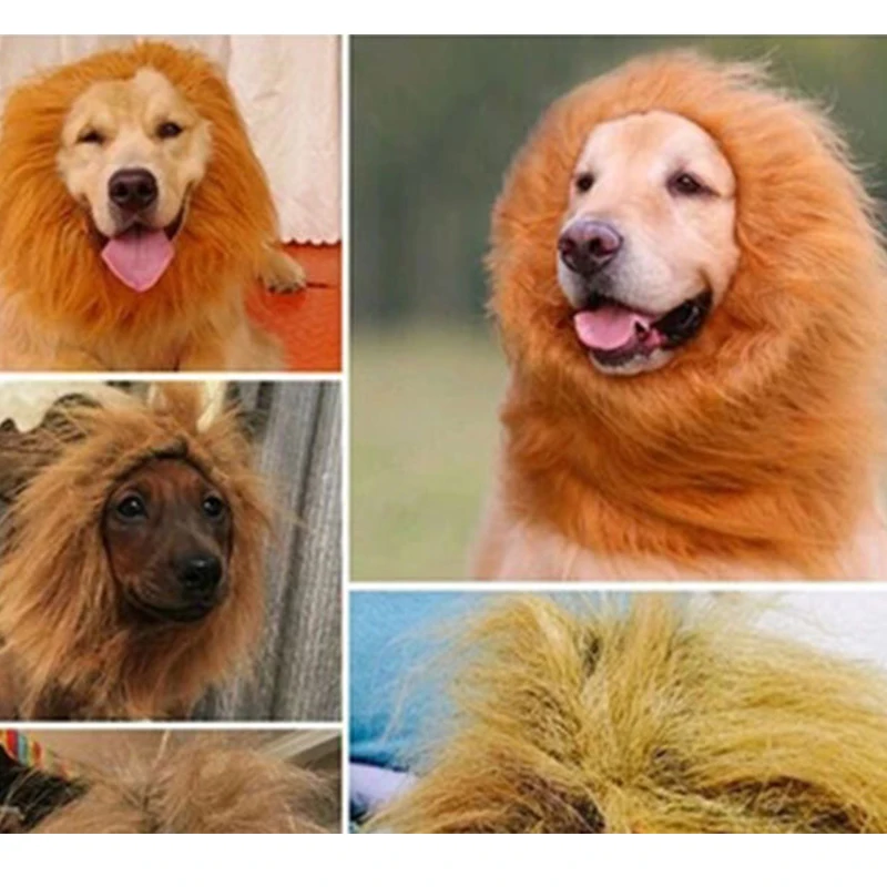 Cute Pet Cosplay Clothes Transfiguration Costume Lion Mane Winter Warm Wig Cat large Dog Party Decoration With Ear Pet Apparel5