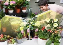 

Phyto Lamp Dimming Full Spectrum Led Plant Grow Light For Indoor Greenhouse Flower Seedling