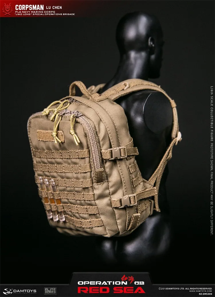 DAMTOYS 1/6 операция Красное море Цзяо длинные спецоперации команды оператора корпсман Лу Чэнь Коллекция фигурка