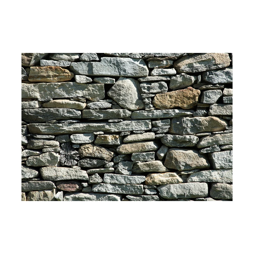 Recolectar 112+ imagen vivarium background poster Thcshoanghoatham