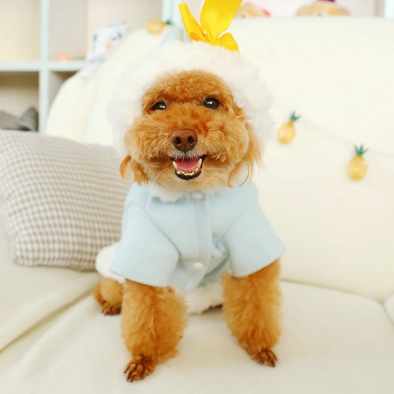 PETCIECLE платье для питомца плюшевый Померанский Бишон собака Удобная осенняя и зимняя утолщенная Милая желтая куртка на утином пуху