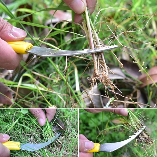 Kertészeti Kézi Gyepfasz Fűnyíró Machete Horog Repedés Gyomi Pázsit Hordozható Gyökér Eltávolító Ásó Digger Gyomhúzó Transzplantált Palánták Szerszám - Image 5