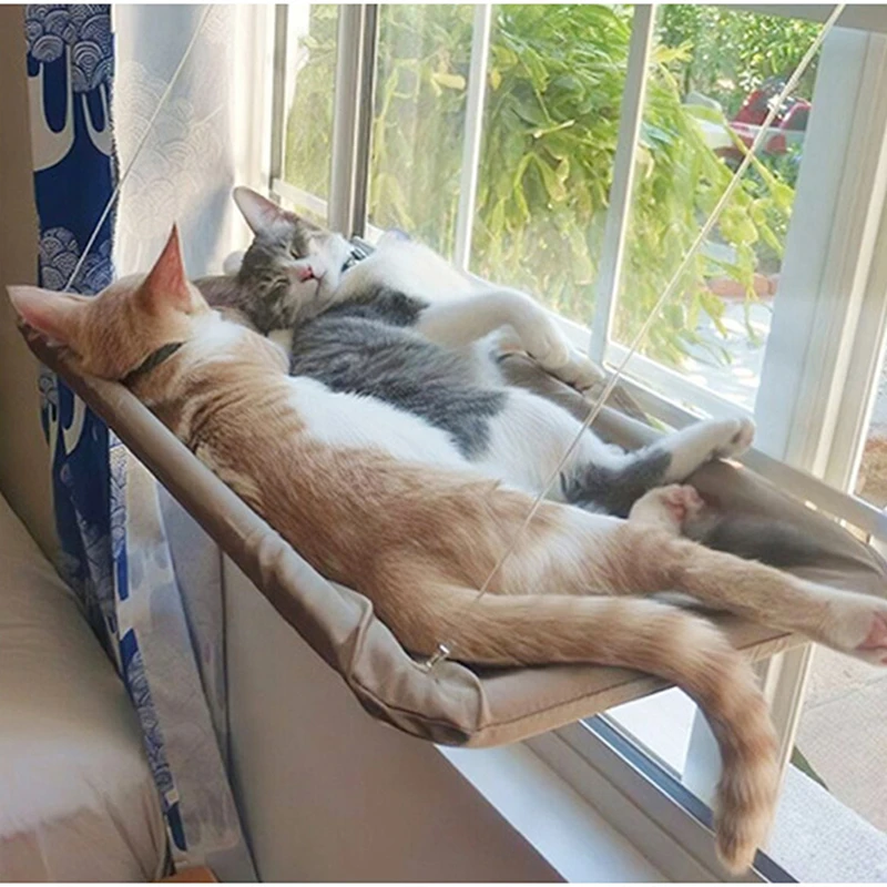 Larry Belmont Verlenen maatschappij Kat Opknoping Bed Comfortabel Kitten Hangmat Baars Kat Sunny Window Seat  Mount Slapen Hangmat Voor Katten Op Het Raam|Manden & Matten voor Kat| -  AliExpress