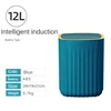Battery blue 12L