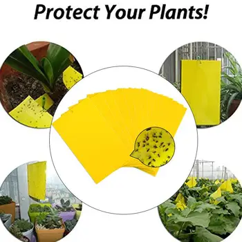 

Yellow Board Convenient Economic Pest Killer Bugs Sticky Board Strong Flies Traps Double Side Outdoor Orchard Yard