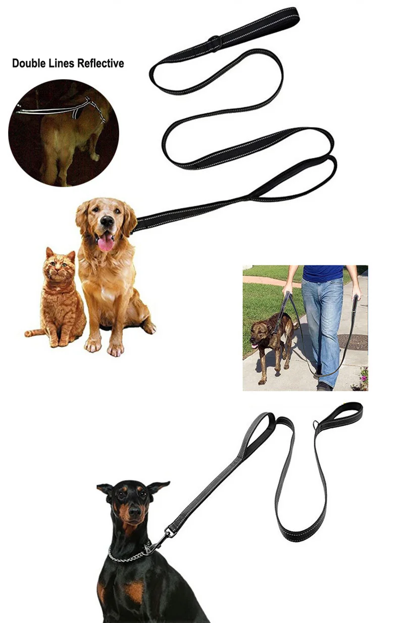 dog leash