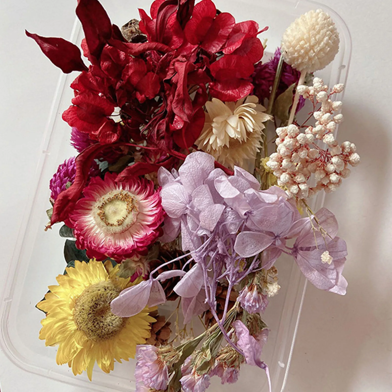 2 Scatole Fiori Secchi Pressati Naturali - Set Per Fai Da Te, Scrapbooking E Decorazioni Creative