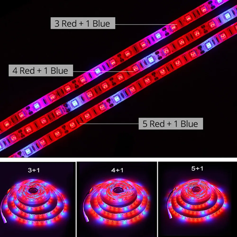 221883c0988973d96e669d4a0202552d