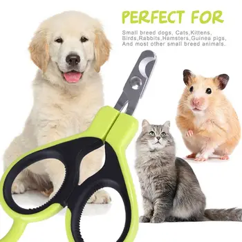 

Portable Pet Nail Claw Cutter Toe Care Stainless Steel Grooming Scissors Cats Dog Nail Claw Clipper Trimmer Grooming Supply