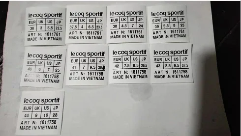 champion shoes womens price