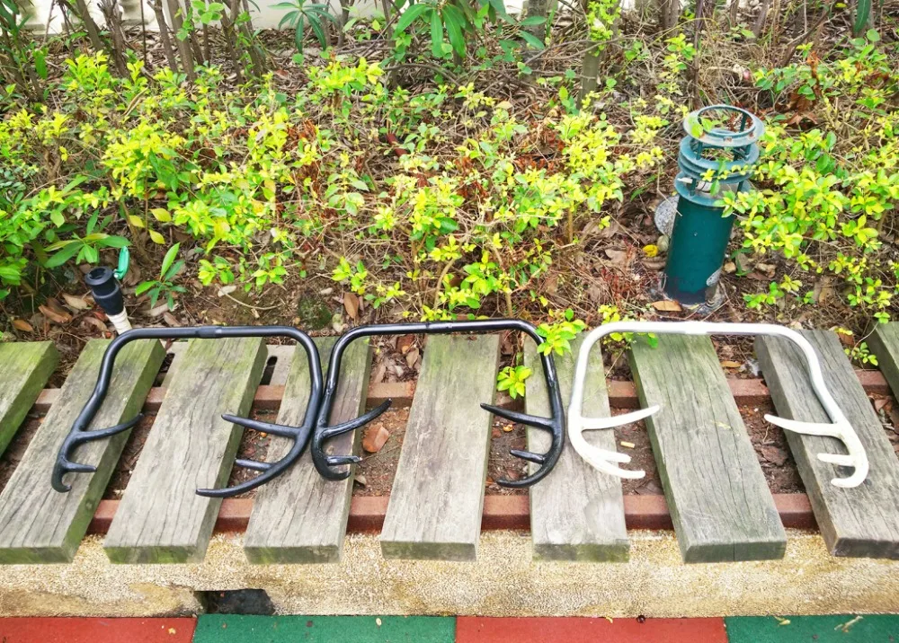 b (1)