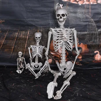 

Halloween Flexible Full Life Size Poseable Skeleton Halloween Decoration Party Prop Decor Human Body Anatomy Model New 2019 40cm