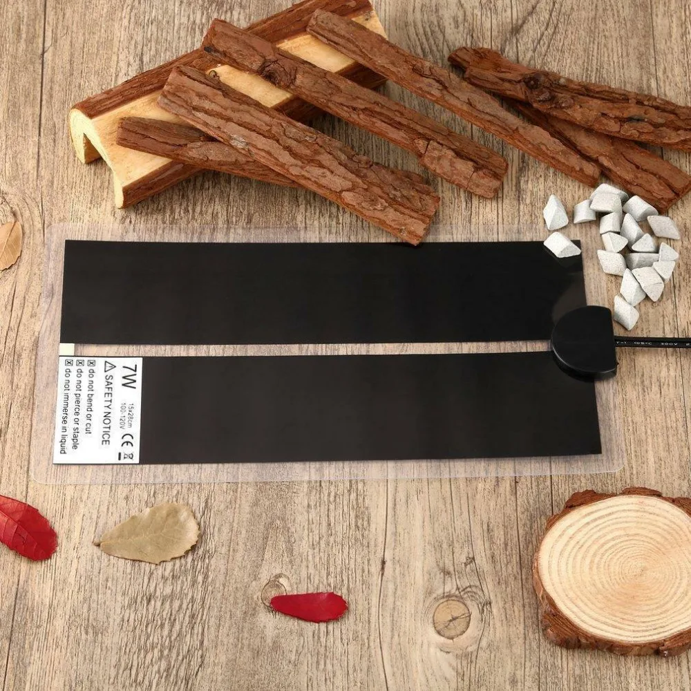 12195829932_526721256