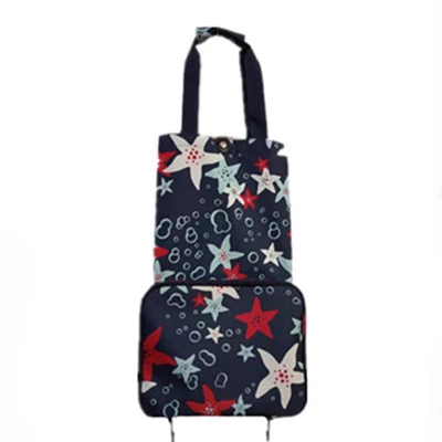 RUPUTIN-Folding-Shopping-Bag-Shopping-Cart-On-Wheels-Bag-Small-Pull-Cart-Women-Buy-Vegetables-Bag.jpg_640x640 (4)