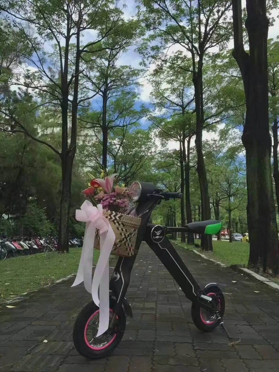 Немецкий Профессиональный Ebike музыка и K1 мини складной город складной электрический велосипед Bicicleta Электрический для взрослых