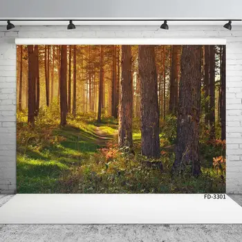 

Mysterious Forest Morning Woods Photography Background Decoration For Baby Shower Children Portrait Backdrop Photo Studio Props