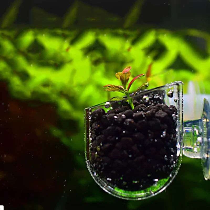 Potted Aquarium-Accessories Acrylic-Pot Planting-Cylinder Hanging Fish-Tank Polka-Water