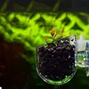 Aquarium decoration Hanging fish tank Mini Crystal Glass Pot Polka Water potted planting cylinder cup aquarium accessories ► Photo 1/6