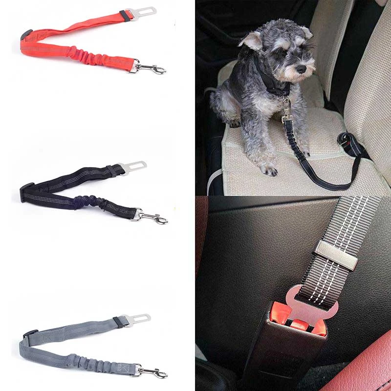 dog car seat strap
