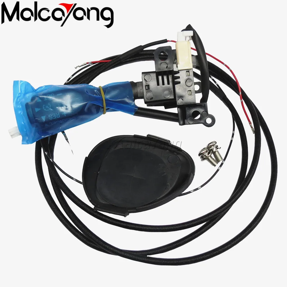 Cruise Control Switch