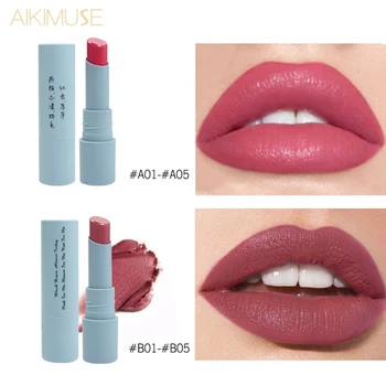 

Glossy Long Lasting Lip Stick Sexy Red Velvet Lip Red Brown Pigments Makeup Gift Beauty Lips Waterproof Nude Matte Lipstick Set