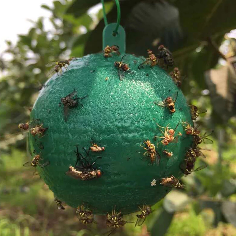 TB2feiwglnTBKNjSZPfXXbf1XXa_!!2419115348